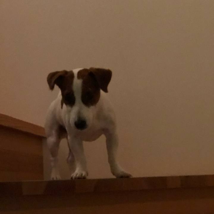 A078e185 9e5b 4ff9 bb3c 3a8b9cf310ea 1563437836118