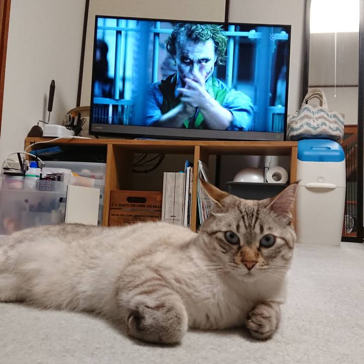 A0791f0f abe3 4dd9 bc19 389ab629dc59 1569845917308