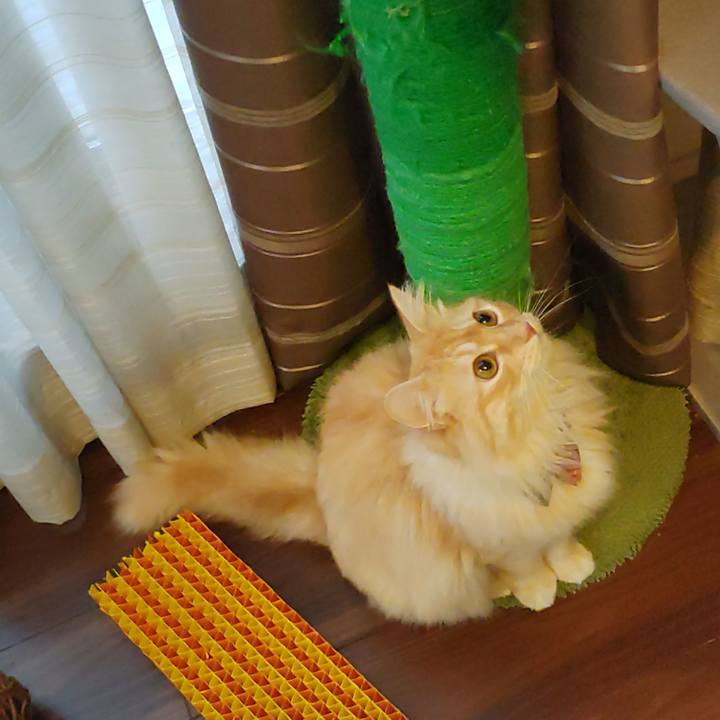 A0792663 dc5c 4388 9b4a 2c62b99441db 1657749428372