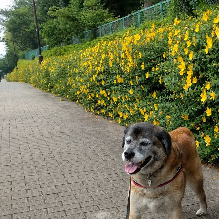 A0792698 48c9 4e7d 89a2 aff49c6fdc34 1527554127438