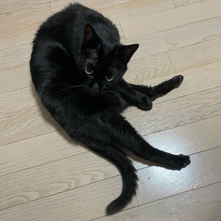 A0793802 2bff 4abd b2b9 8b35b2fe9e4a 1749557408734