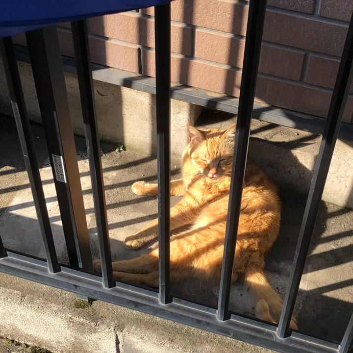 A079473c e0f1 479c 9b99 a63fd5261374 1524127014123