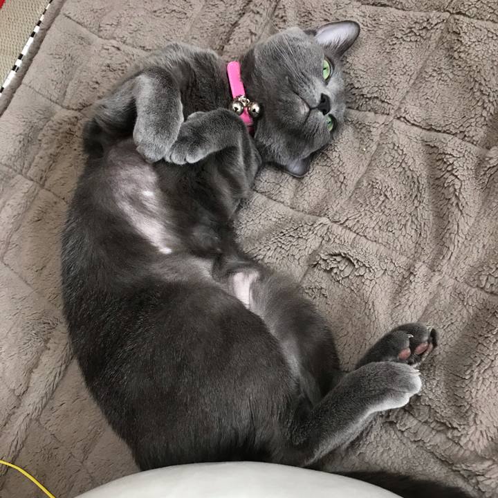 A079479d ce85 4cc3 8079 357380360e1b 1552623227511