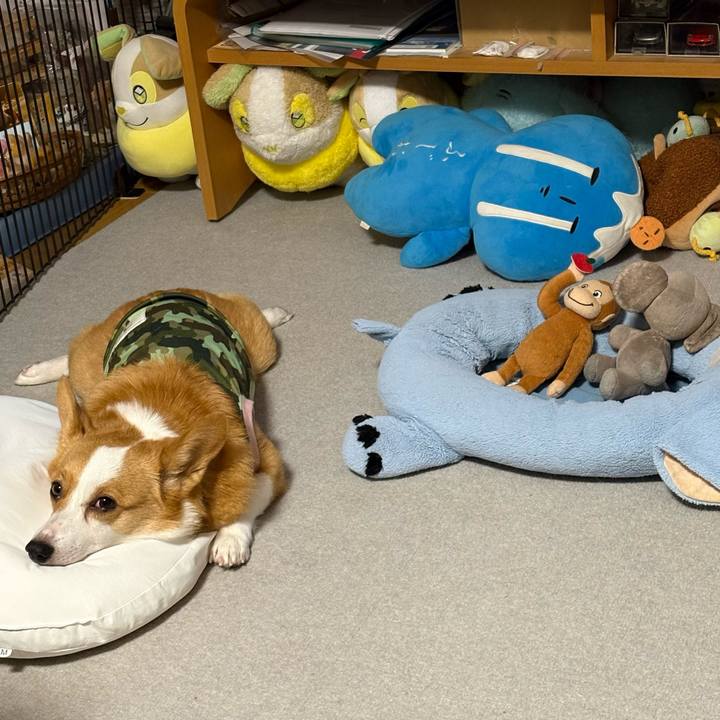 A0795e4c c38e 46b7 ab4c 830860a1f0b2 1771511157434