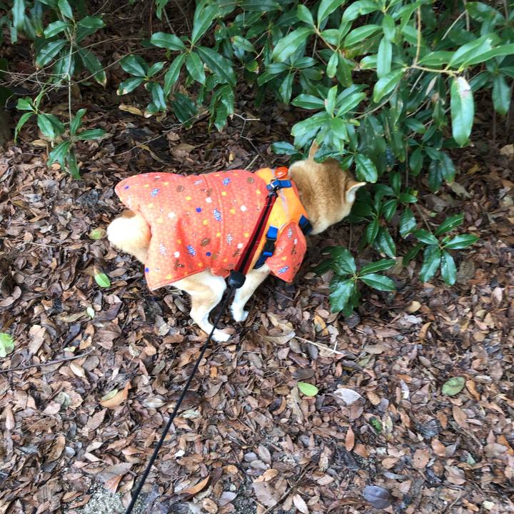 A0798dd7 468c 49ae 8985 91198b029721 1581923377908