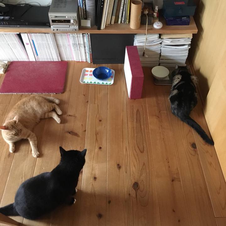 A079bbd0 8b19 4911 9342 5282947648a9 1535539544330