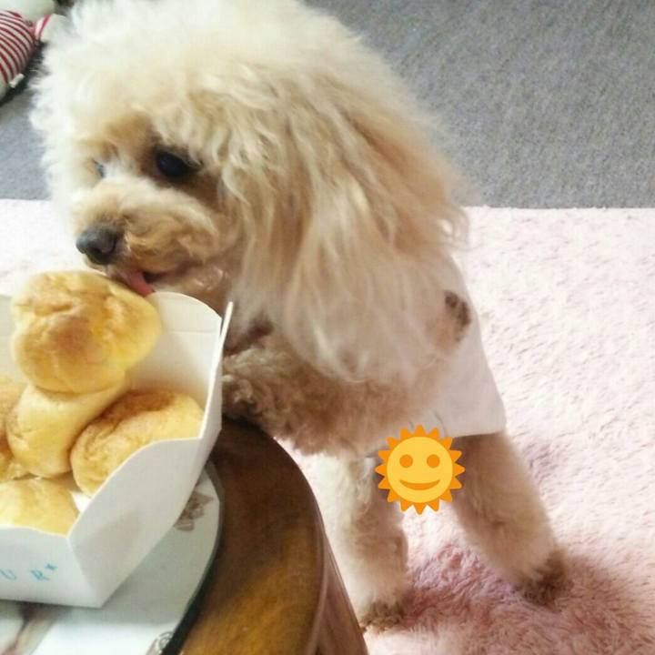 A079bcbe 8dc4 44ba bdf2 0d4aff262b38 1558527459581