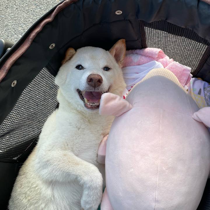 A07a41e0 14f3 405e 85db 7ebe958110c1 1665921383714