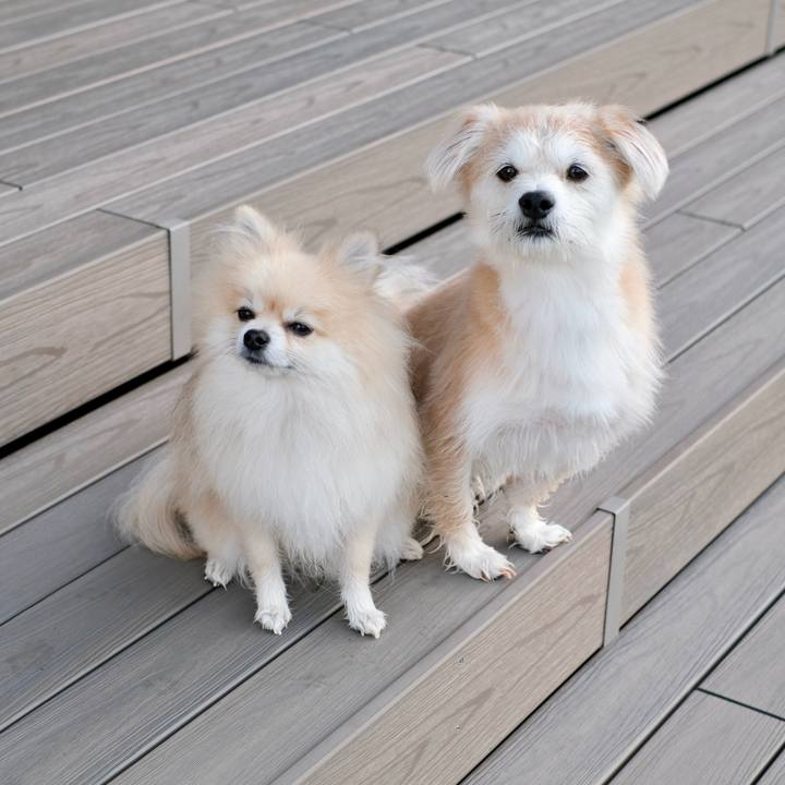 A07a6bea da00 4931 9fc6 c4422331252d 1760391785495