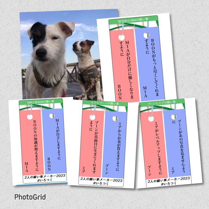 A07a83cc fc15 4826 8495 efd074be49b9 1688640314874