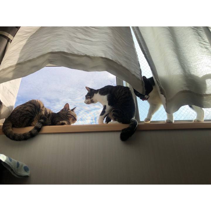 A07a8488 a12d 4f6c a5df dab6e7a27e1b 1638113446557