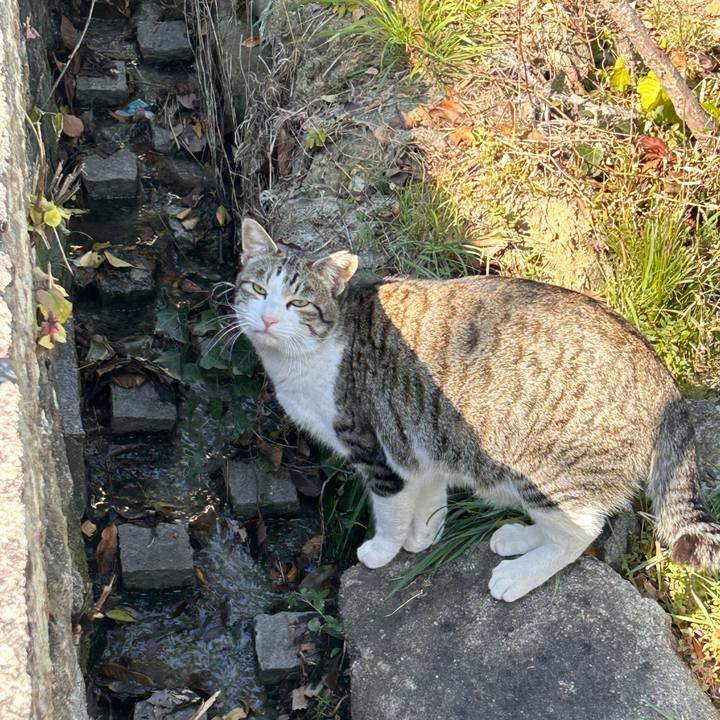 A07a85b2 9d38 4daf b4e4 3042c3c80099 1768366844534