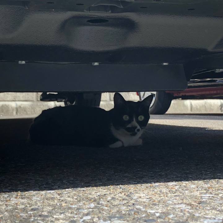 A07aac6b 048e 4155 b587 b2aede57e99b 1536145437810