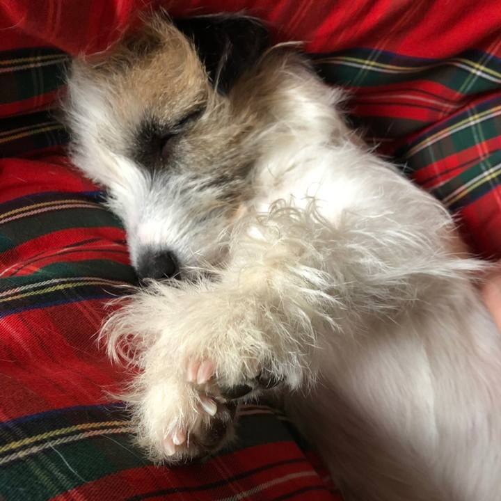 A07ac234 46e4 4899 b247 0e3e292ffcde 1554637054965