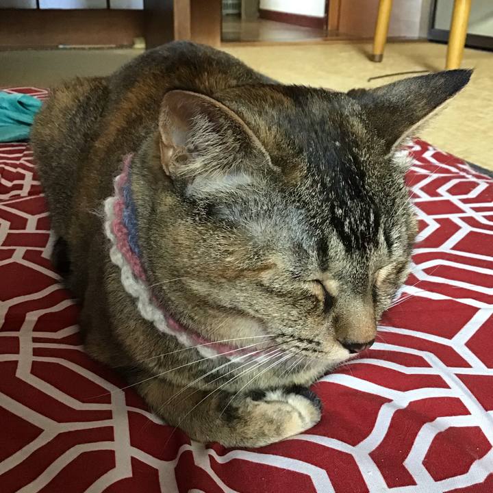 A07ad13b a3ea 4507 b956 0e50b206ad48 1624833202050