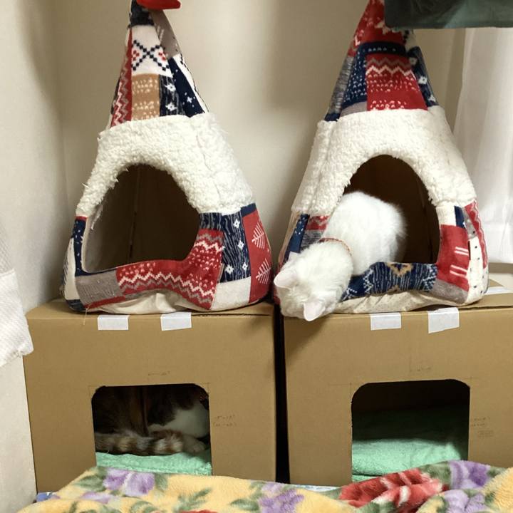 A07aedcb 36c6 4b72 89d6 98d9d7d4524e 1673138933833