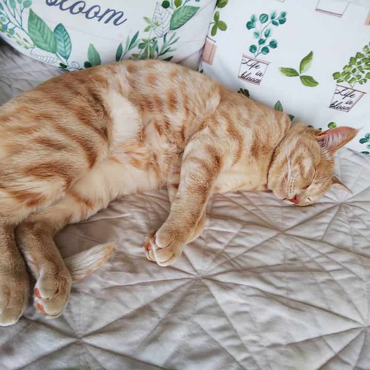 A07aef5e c7c6 42cd a927 c23243391d56 1557096835277