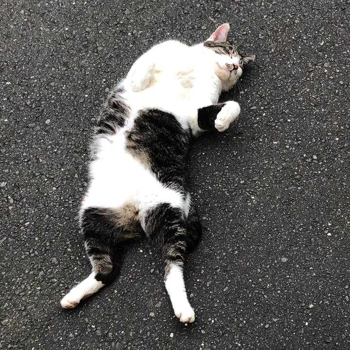 A07b06ed 4dcc 4d0c 9a4f bb92a3659a6c 1599832726520