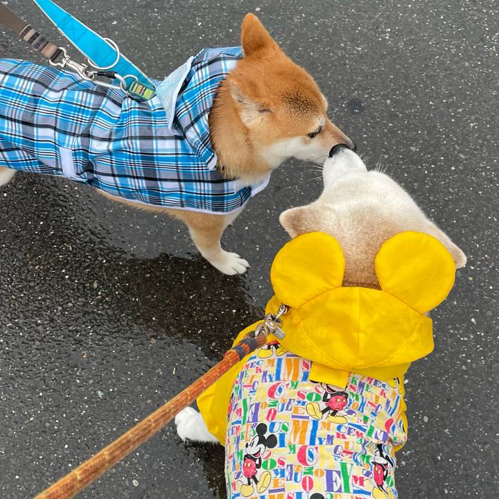 A07b0bff 7fc2 4010 9274 d869aee9dfbf 1665660384684