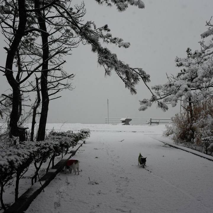 A07b6cf5 63f2 4074 b815 c34d96f12ae6 1517718817818