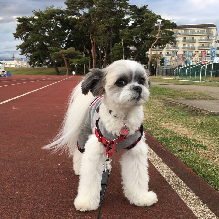 A07b8997 2533 4ad3 9d20 be78055e7313 1542100284792