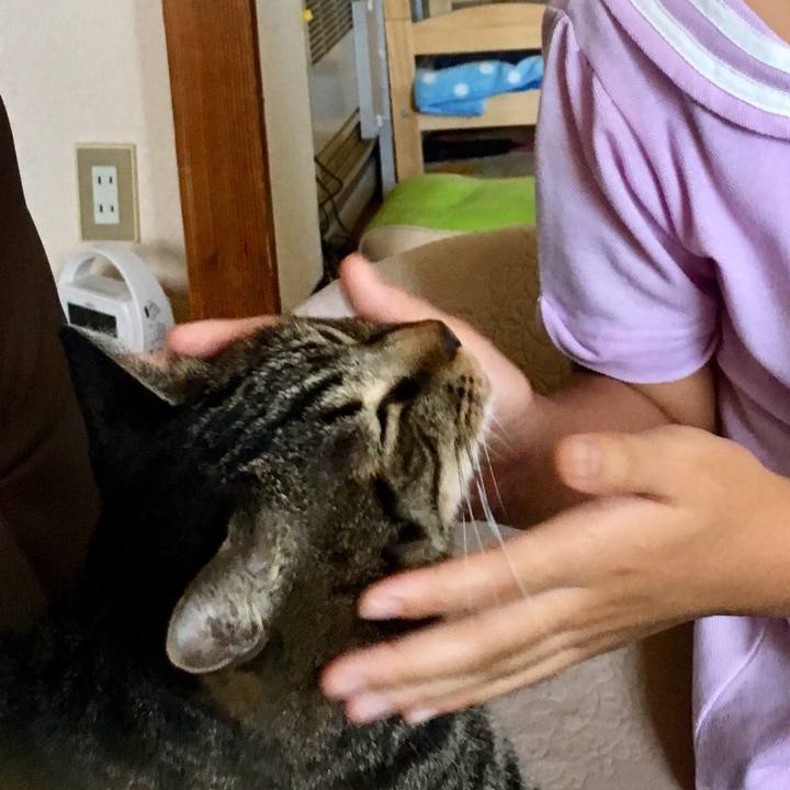 A07b8f0b c6d8 4118 8450 a6583f1b7401 1533856382010