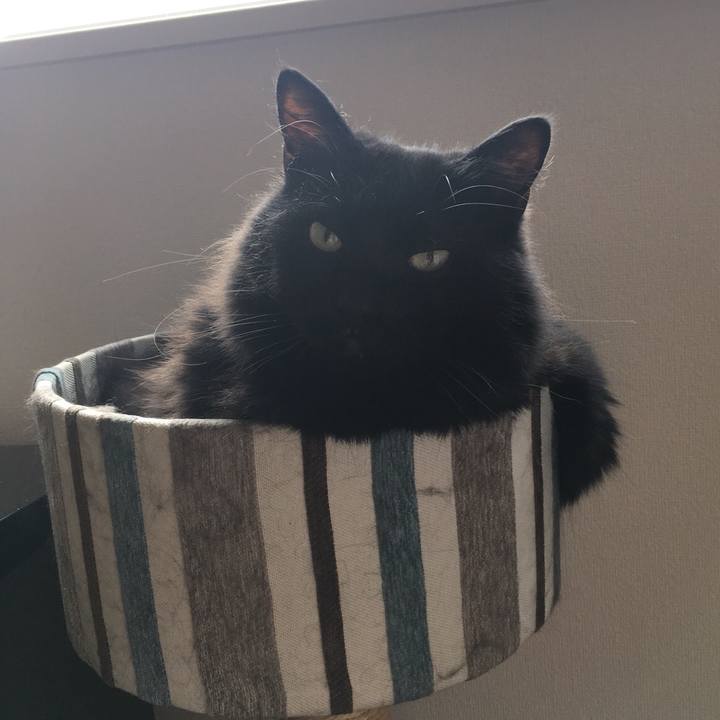 A07bca36 36fb 4d5b bd8e 7bfd7f810bb3 1530487089395