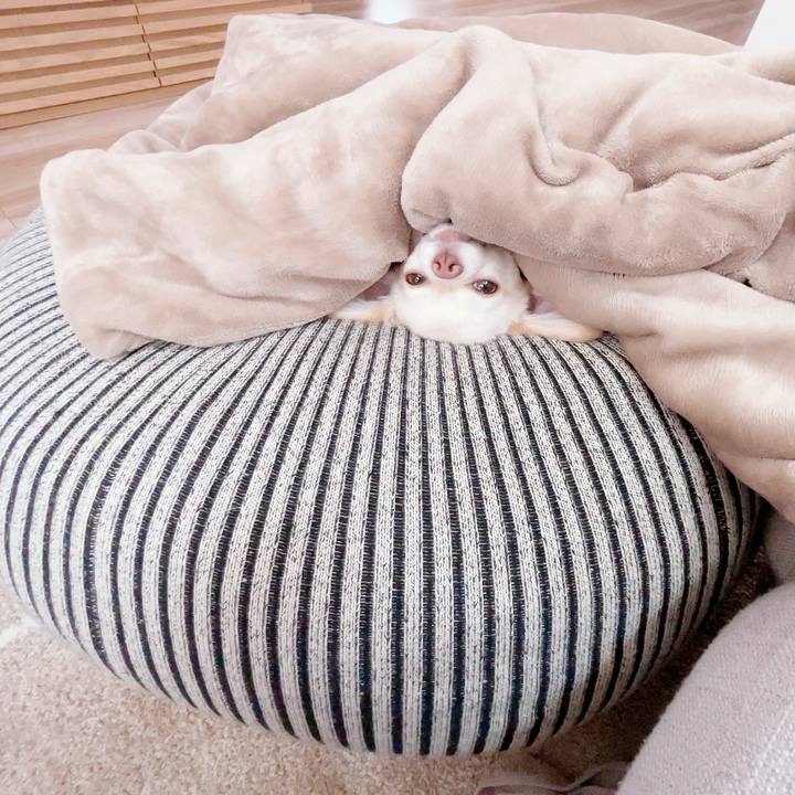 A07bceca 0e2c 4f1b 98bb d9a83b894a20 1685678462977