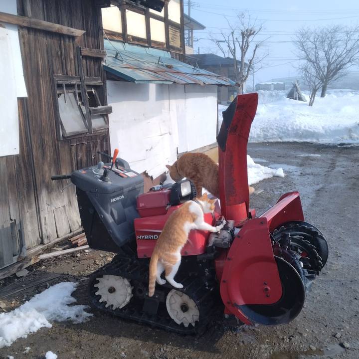 A07be0f2 9388 4c8c 83c5 8db9e171682c 1737429772273