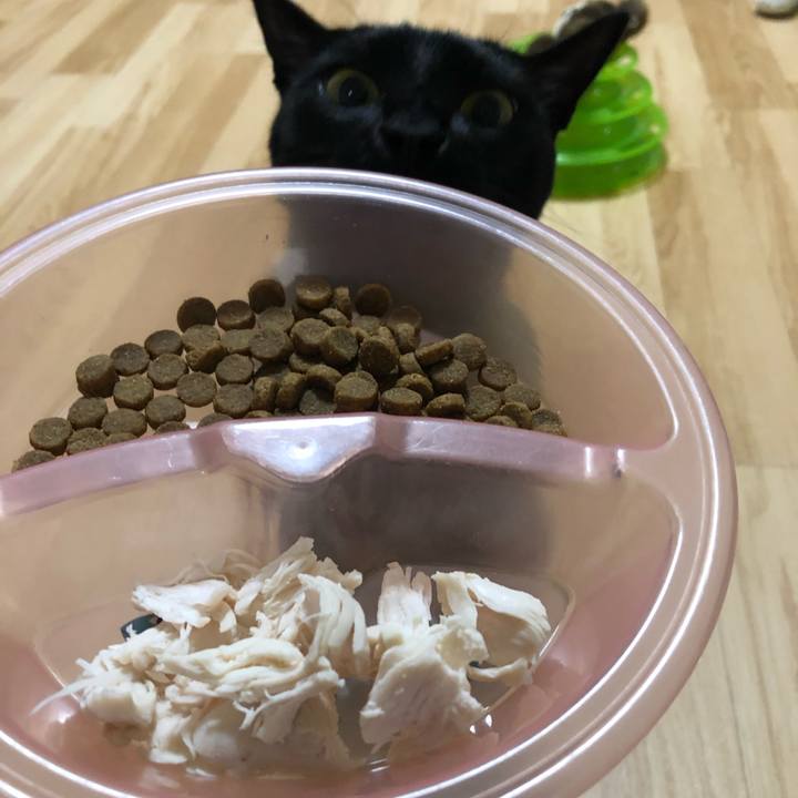 A07c1662 3409 4dfc b884 8035f8b3259b 1543319478570