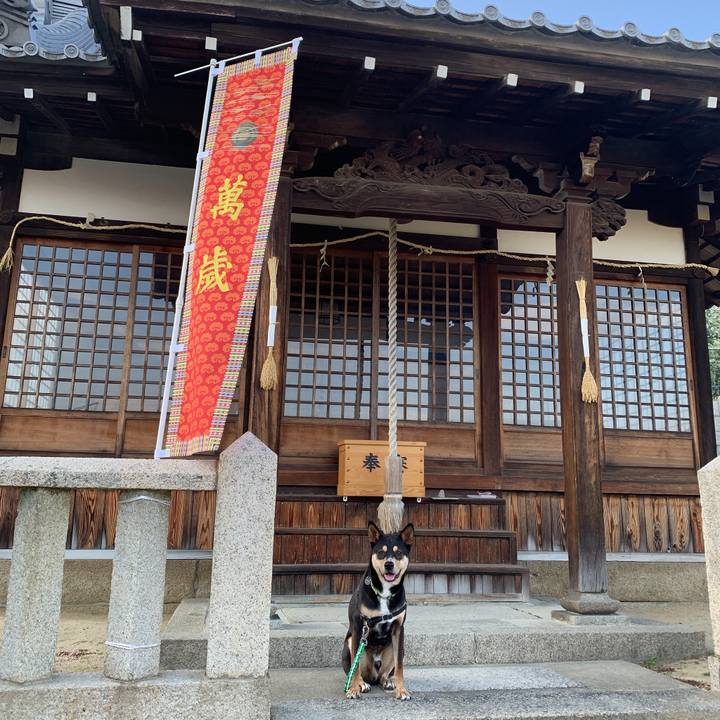 A07c217c 2d28 4eb3 83b2 c151ee346fd3 1557412112681