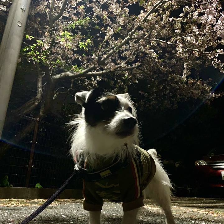 A07c5325 85df 4814 8192 276368c6afc5 1713014767447