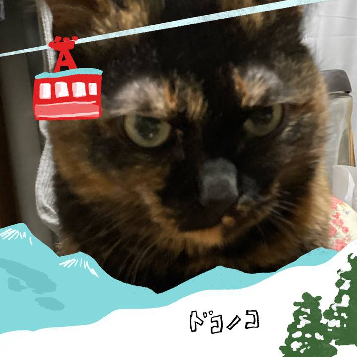 A07c9a62 55af 4ae5 bf8e 7fab732cec8e 1706773338172