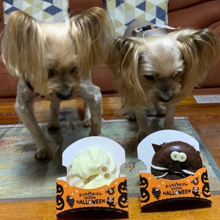 A07cbc48 cf59 47a3 ac9f a12b88c812bb 1634117827472