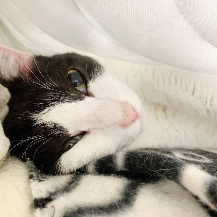 A07cd0f9 bd9c 4d84 945d 2bfe3264d2af 1551144427494