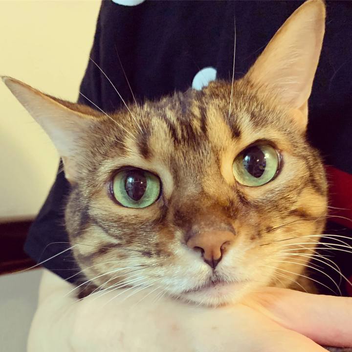 A07cd2e9 a38e 4aab bfa5 0189d5860f51 1592516053273