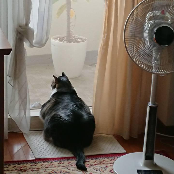 A07cd40c 5f64 4125 9168 0724af066ec8 1525310729897