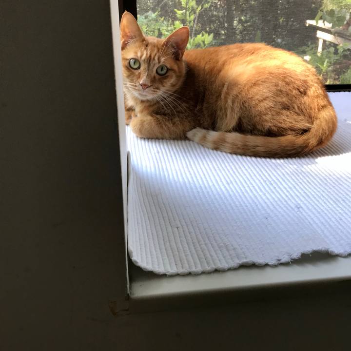 A07d018e 0cb0 4ebb a2ce 446e91382226 1558918111228