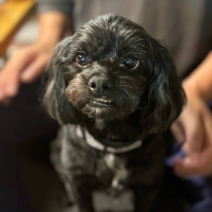 A07d0350 fa8c 4d7c ac42 d52ea9680ea1 1729733978983