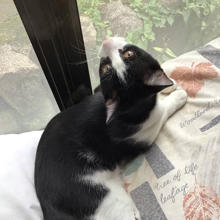 A07d144d 709a 45e7 b47a 351349258faa 1631425404025