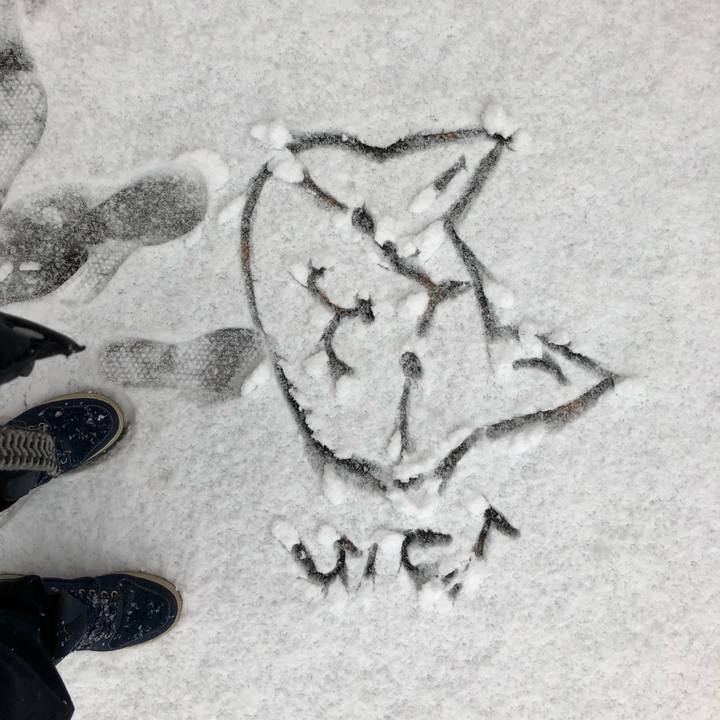 A07d1f24 6702 442a b20c 4d45e089a65b 1516598400604