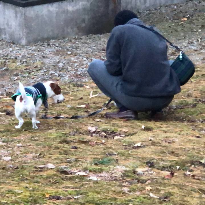 A07d5e69 2019 451d a192 644139b4c234 1542100869350