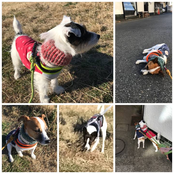 A07dc289 d362 49b1 8cb4 989835c32917 1513216076990