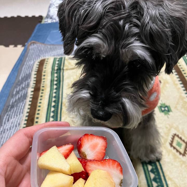 A07dc5ac 2214 4c86 8cf1 1b0b79ffdefa 1741528006769