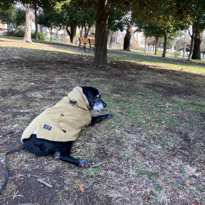 A07df4a8 f625 4c37 aa1d 9c5f46947435 1742271036275