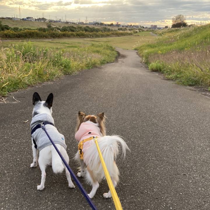 A07e6422 0650 4a7c 97ba a4728196c110 1764994926161