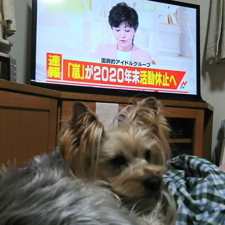 A07e8568 aba1 4756 8869 21fa5fdf3e9b 1548578339470