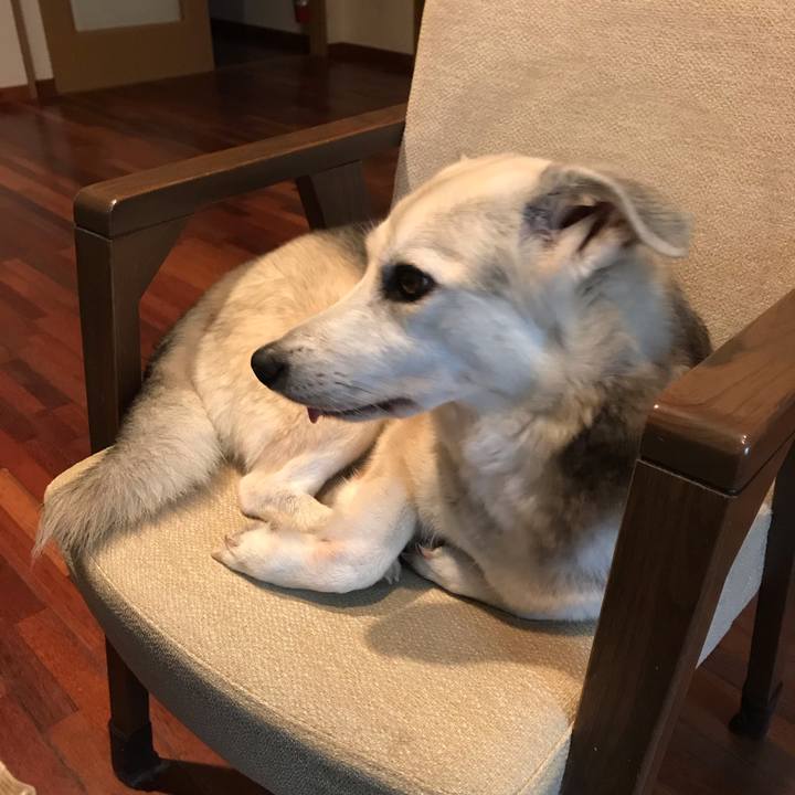 A07eba1f 6a01 49a3 8aa1 7f71b3c79178 1572258862068