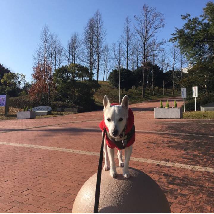 A07ed406 f130 46cc 9bfe 77ff8194ce59 1768883927943