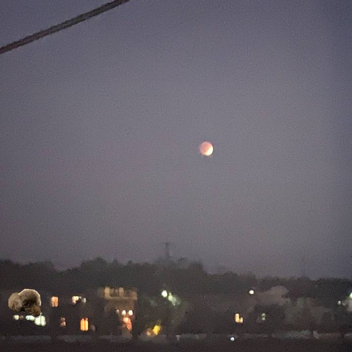 A07ed521 342d 480a a32e fd0994dfed4f 1637311735687